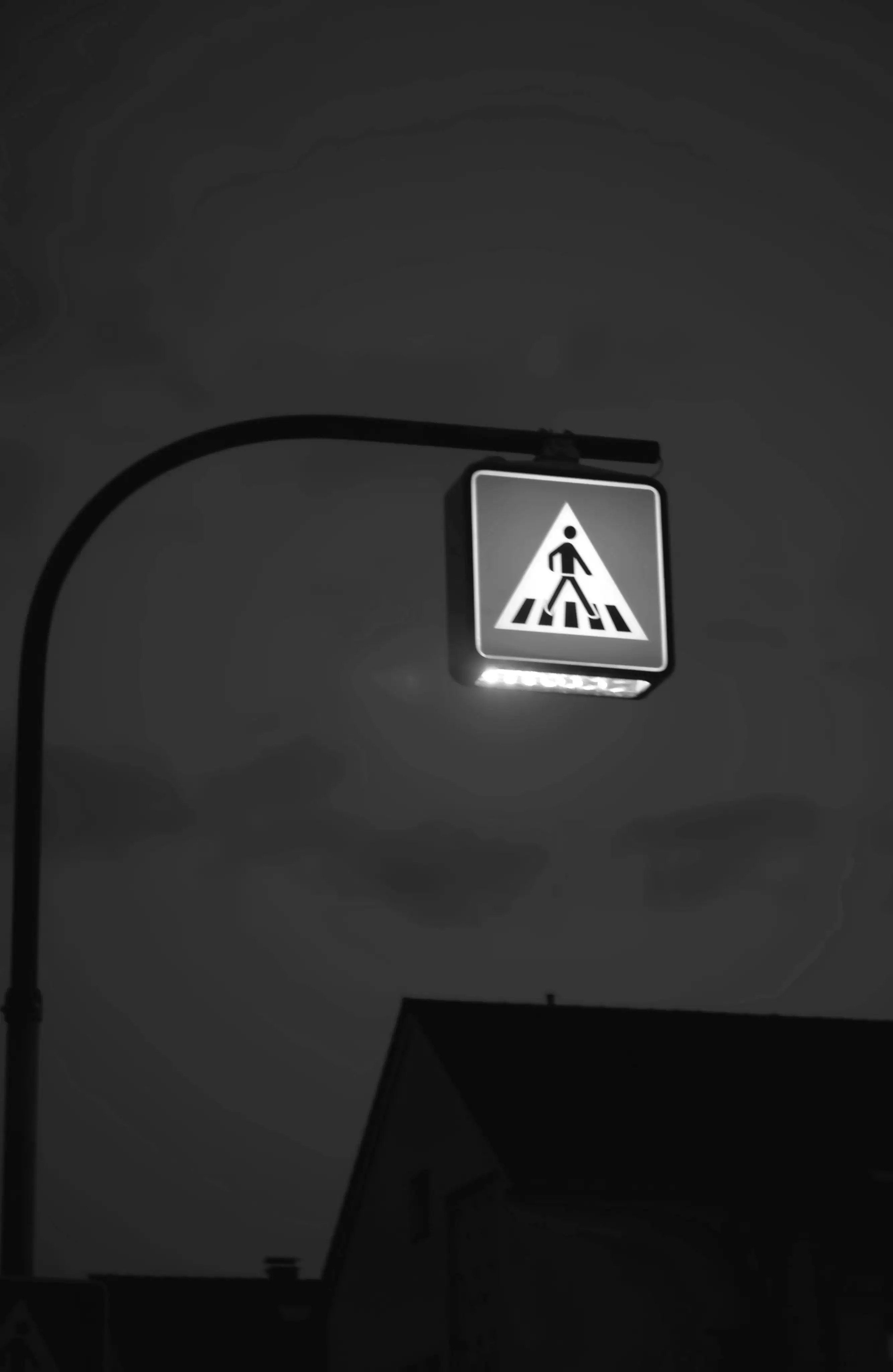 Intelligent ecological lighting systems with telemanagement